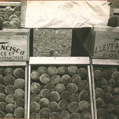 Fruit crates