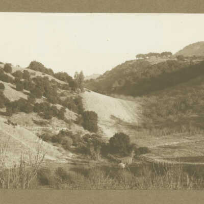 Los Gatos Hills