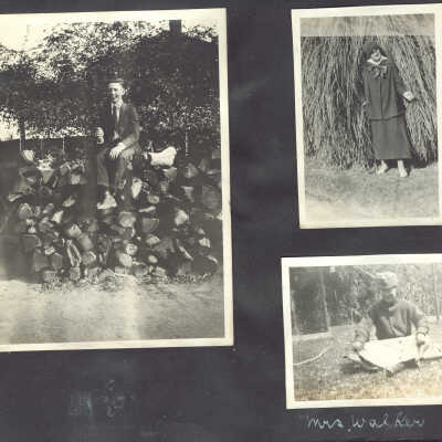 31