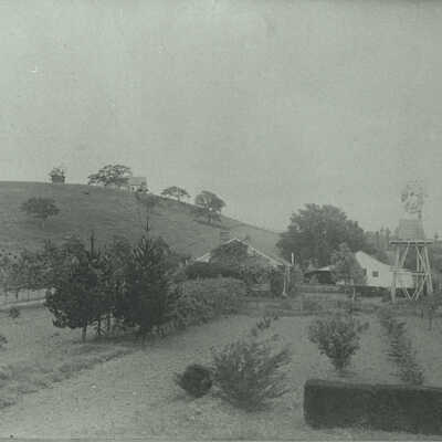 Small vineyard