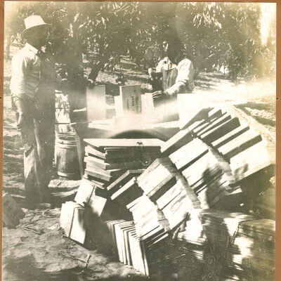 Picking season
