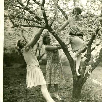 Saratoga Blossom Festival