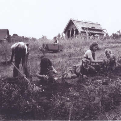 Children working in the garden