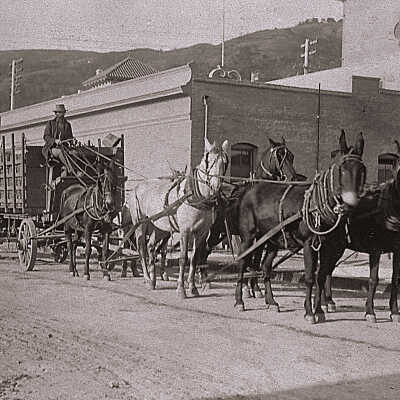 1900 Draft team and wagon