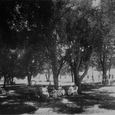 Hunt Brothers Cannery park