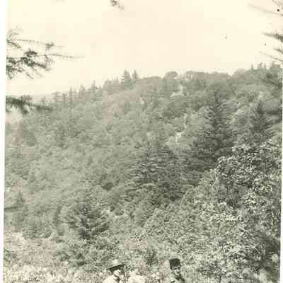 Off Bear Creek Road