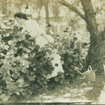Garden scene