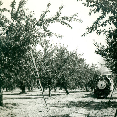 Billy Jones Railroad