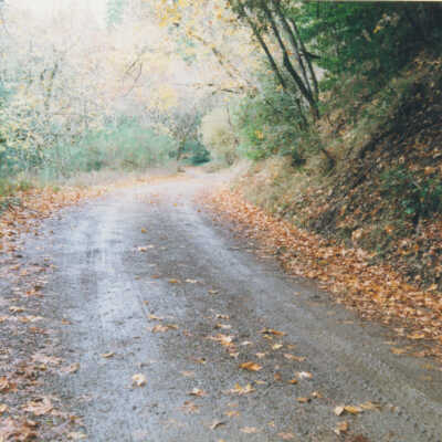 Route of S.P.C. and S.P. Railroads: View looking south of what used to be the right-of-way of the Southern Pacific Coast Rail Road