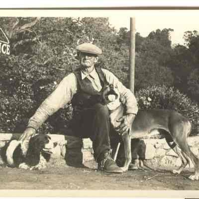 Man and dogs