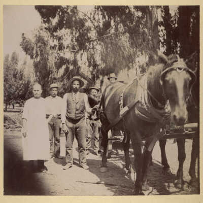 1896 Austrian Gulch