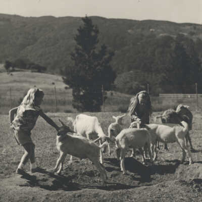 Outdoors in the country