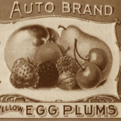 1890 Fruit Label