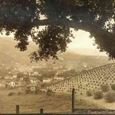 1890 Area Views