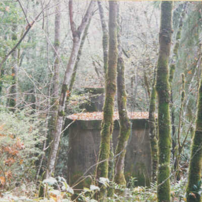 Route of S.P.C. and S.P. Railroads: Pylons from an abandoned trestle just before the tunnel at Wrights Station