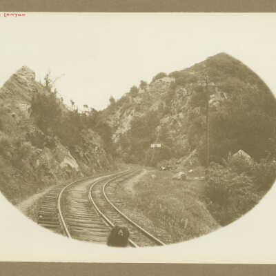 Los Gatos Canyon