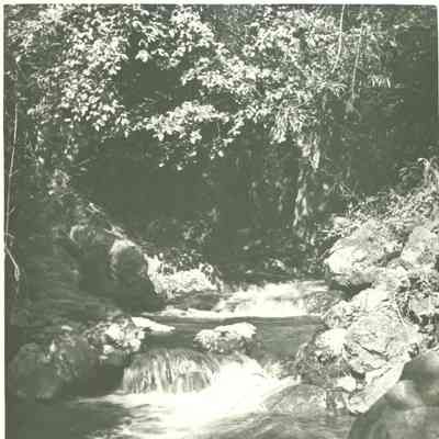 Los Gatos Creek