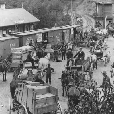 1893 Farmers and buggies at Wrights Station loading train