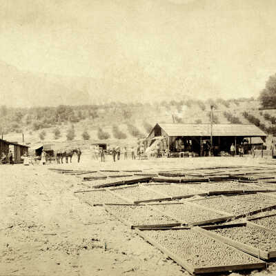 1888 Crandall & Rice Fruit Dryer