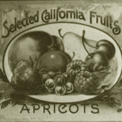 1890 Fruit Label