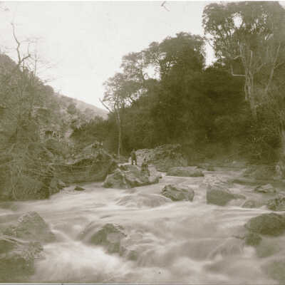 1899 Los Gatos Creek