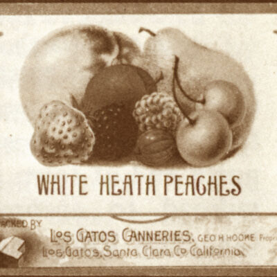 1890 Fruit Label