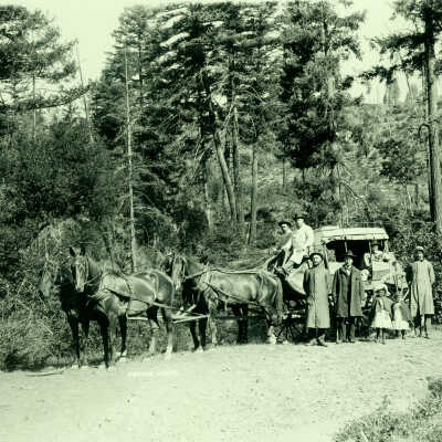 Travellers