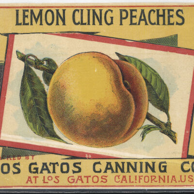 Produce label