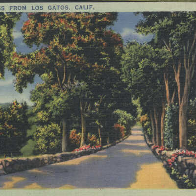 "Greetings from Los Gatos"