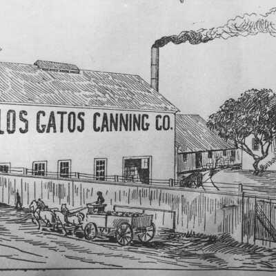 1900 Los Gatos Canning Co.