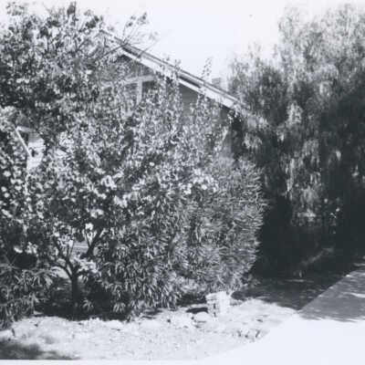 Bella Vista Avenue 316