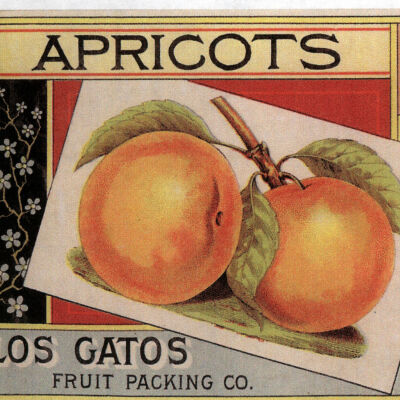 Fruit Label