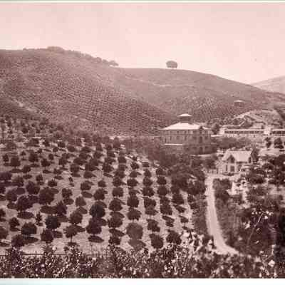 Novitiate view