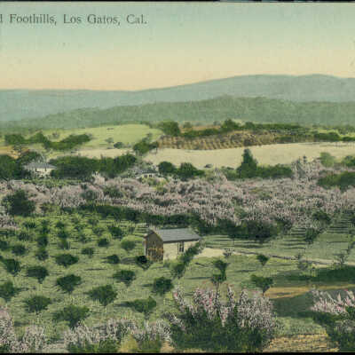 Orchard and Foothills, Los Gatos