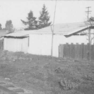 Backyard sheds