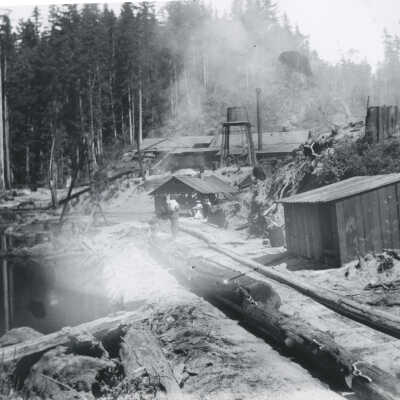 1890 Logging camp