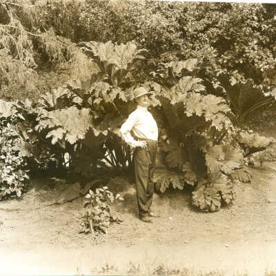 Tevis, Dr. Harry L.