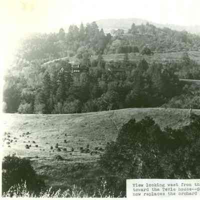 Tevis house view
