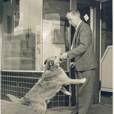 Chief at the Butcher's Shop