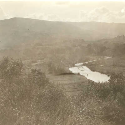 Los Gatos Creek