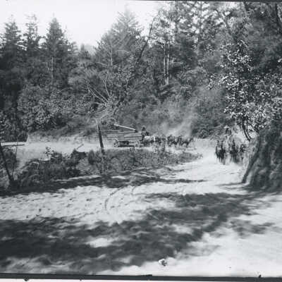 1890 Lumber wagons on Cats Canyon road
