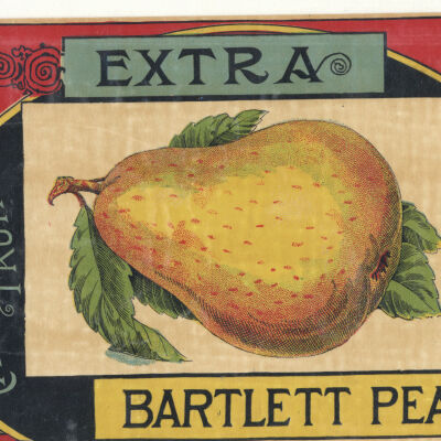Produce label