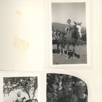 Young horseback rider