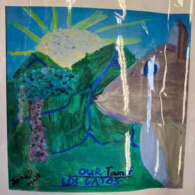 2016 - Our Town of Los Gatos