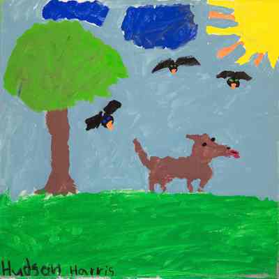 2019 - Animals in Park