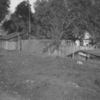 Backyard scene