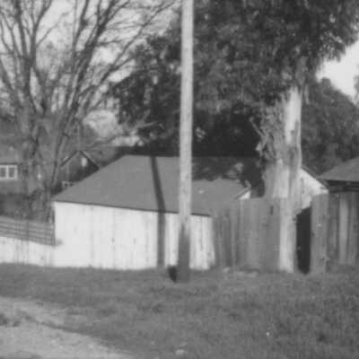Backyard scene