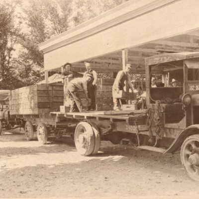 Loading Fruit