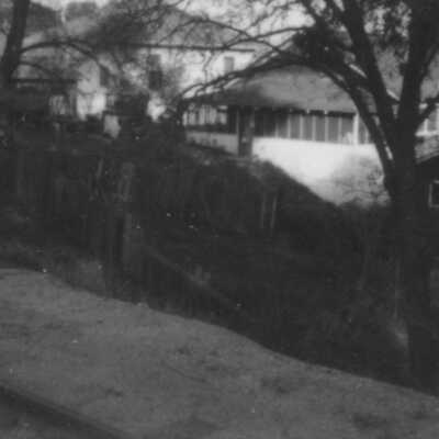 Backyard scene