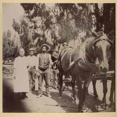 1896 Austrian Gulch